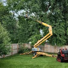 Tree and Shrub Care in Kootenai, ID